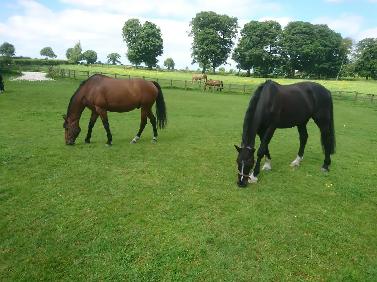 Rowley Manor Hotel Little Weighton